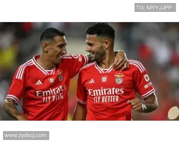 本菲卡主场迎战阿鲁卡力争三分巩固联赛领先地位 本菲卡主场迎战阿鲁卡力争三分巩固联赛领先地位