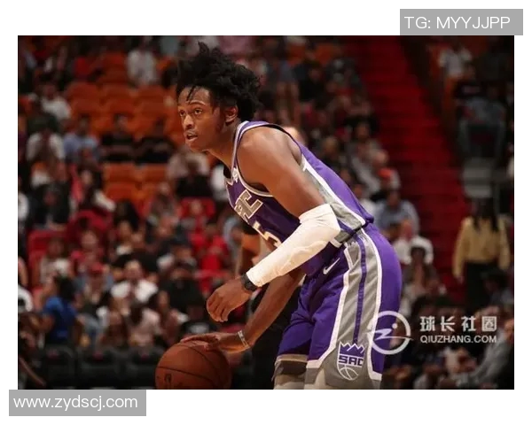 德阿隆福克斯的崛起之路与未来展望:从新秀到球队核心的蜕变