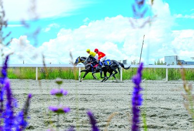 威尼克斯人登录更多青年人参与 传统体育更年轻了