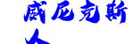 澳门威尼克斯人(wns)官方网站